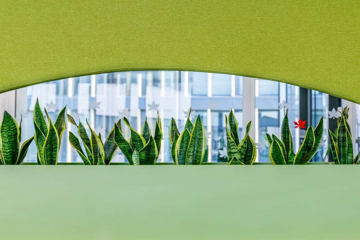 CAP_Colonnade_0011